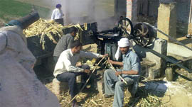 Organic farmers making gur at Bada Bhai Ka village in Faridkot.