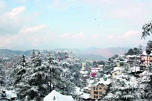 Shimla dons a white mantle after a fresh spell of snowfall on Wednesday.
