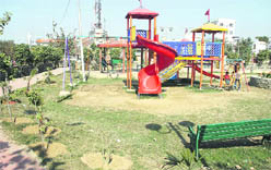 New fibre glass swings installed at Children Park.