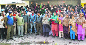 Daily wagers stage a protest over the alleged illegal appointment of some employees in the Municipal Committee, Katra, on Thursday. 