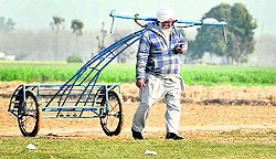 After a day-long wait, a dejected farmer returns home with his bullock cart at Kila Raipur on Thursday