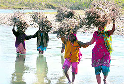 Women support each other as they pass through a flooded embankment after fetching wood in Haridwar
