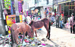 Katra town has turned into a garbage dump as the strike of daily wagers of the Municipal Committee entered the fourth day on Sunday. 