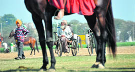 An elderly man on a wheelchair at Kila Raipur on Sunday. 