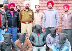 Five robbers in the police net in Amritsar on Monday. 
