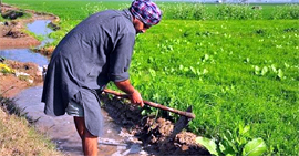 Farmers should make judicious use of fertilisers in their fields.