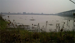 Due to cold conditions in Europe, migratory birds have arrived at Harike in large numbers. 