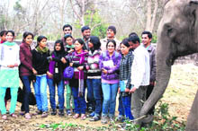 Students of Hemwati Nandan Bahuguna Central University, Srinagar, Garhwal, at the Rajaji National Park, Chilla range, in Pauri Garhwal on Tuesday. 