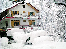 Manali dons a white mantle after a heavy snowfall on Tuesday
