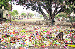 An open garbage dump greets residents visiting Dasehra Park in Model House