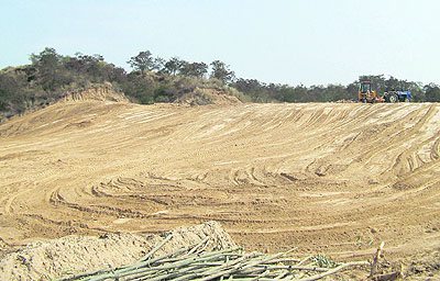 Partially levelled hillock at Kurian village in Mohali district.