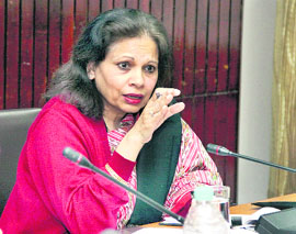 Punjab State Electricity Regulatory Commission Commission Chairperson Romila Dubey at Jalandhar on Wednesday.