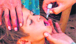 A child being administered Pulse Polio vaccine.