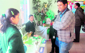 Students at an exhibition at Delhi Public School in Dehradun on Saturday.