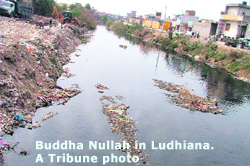 Buddha Nullah in Ludhiana. 