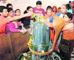 Devotees make offerings to Lord Shiva on the occasion of Mahashivratri at a temple in Gurgaon on Monday.