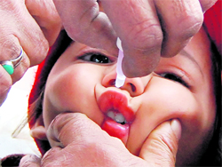 A child being administered polio drops in Srinagar.