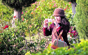 A visitor captures the beauty of the Bagh-e-Bahu park in Jammu.