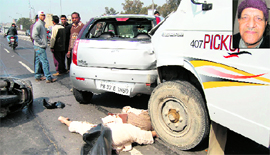 The body of Dharamvir (inset) lies under a mini truck near Khalsa College ROB in Jalandhar on Monday. A policeman arrests the driver of the vehicle.