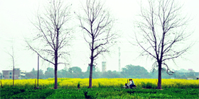 Two motorcycle-borne youths make their way through a field on the PAU campus on a chilly Monday.