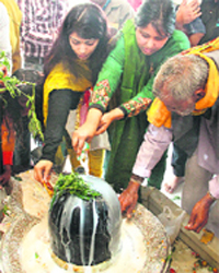 Devotees bathe the Shivlingam with milk on Mahashivratri in Jalandhar on Monday