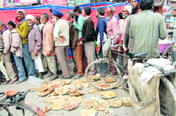 Discarded leaf plates spread on the road after Mahashivratri at Lawrence Road in Amritsar