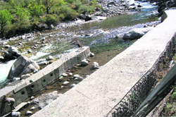 A view of a water inlet of the Rs 2.34-crore trout fish farm on the Tirthan river at Hamni in Kullu