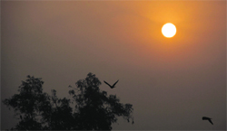 Break of the day Glazed with hues of orange and red, the sun lifts up it's head, colours shimmer in the light and shapes begin to unveil.