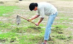 Cleaning work under way at SNMJN College in Haridwar on Friday. 