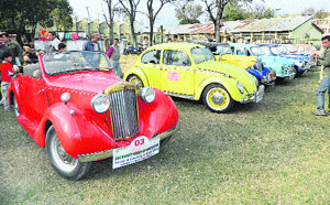 Vintage cars that reached Kangra on Friday evening.