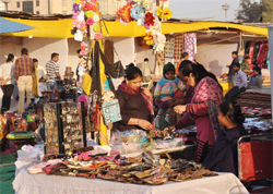 Women shop at the Gandhi Shilp Bazar-2012 in Gurgaon