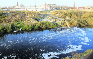 effluents from the leather complex treatment plant discharge into the Kala Sanghian drain in Jalandhar;