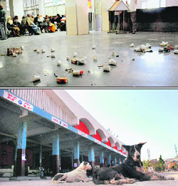 Garbage littered by contractual sweepers at Government Medical College and Hospital, Sector 32; and (below) an empty Panchkula bus stand on Tuesday. 