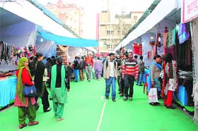 Visitors at the Saras Mela in Mandi