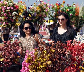 Women shop at the Gandhi Shilp Bazar in the Leisure Valley park, Gurgaon, on Wednesday