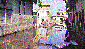 Overflowing sewage on the Bank road near grain market at Mandi Ahmedgarh on Wednesday.