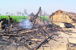 The scene of fire mishap at Jaspal Bangar village, Ludhiana. 