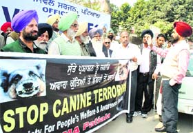 Members of the Society for Peoples Welfare and Awareness hold a protest in Patiala on Thursday