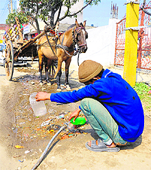 A horse cart driver fills a bottle from a water pipe in the Janipur area of Jammu