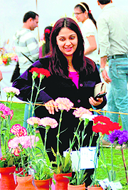 A girl looks at flowers during a flower show at Leisure Valley Park in Gurgaon on Saturday.