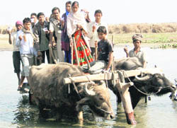 Voters show their identity cards as they cross the Sharda river by a buffalo-cart on their way to a polling station in Pilibhit district