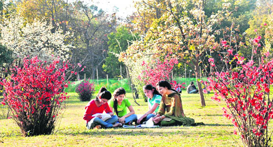 Students of Panjab University with their books at the university’s Botanical Garden in Chandigarh.