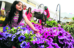 A girl at a flower show in Gurdwara Sri Guru Singh Sabha, Sarabha Nagar, Ludhiana