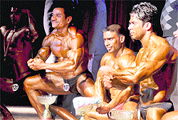 Contestants flex their muscles at the Federation Cup Bodybuilding Championship organised in Ludhiana