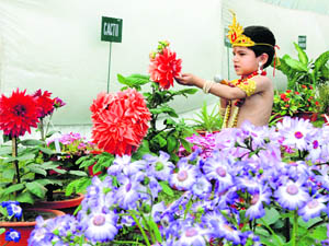A child looks at flowers during the Spring Festival organised by the Haryana Urban Development Authority at Atal Park in Karnal. 