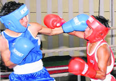 Kapil (left) and Amit exchange punches during their match at the AK Mishra All-India Senior Mens Boxing Championship in Chandigarh on Wednesday. 