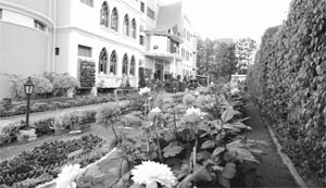 A view of the garden at the Gurukul School at Sector 20 of Panchkula.  