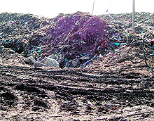 The dump yard in Bhagtanwala