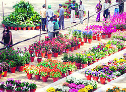 An annual flower show organised at Bengal Engineer Group and Centre at Roorkee on Saturday
