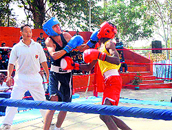 Players in action during the RIMC Boxing Championship in Dehradun on Saturday